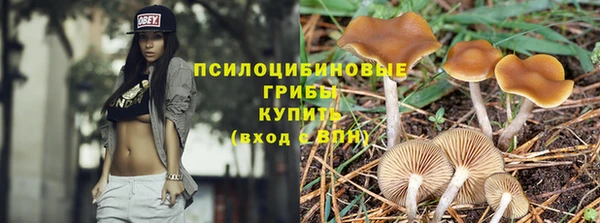каннабис Волоколамск