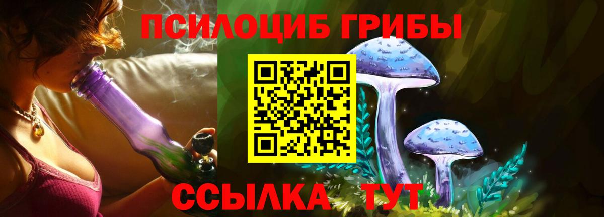 Галлюциногенные грибы мицелий Заинск
