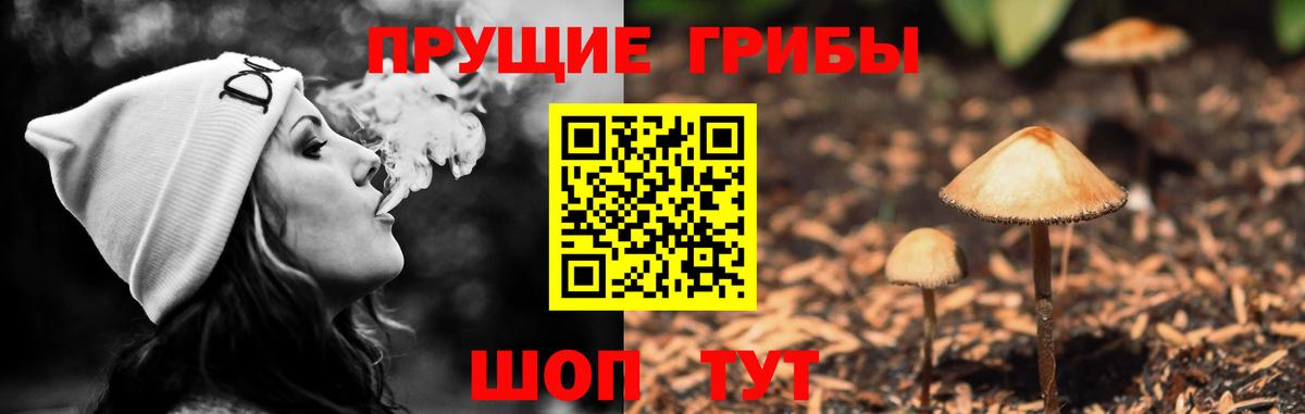 Заинск  Галлюциногенные грибы ЛСД  Вход с VPN 